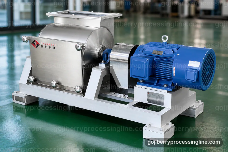 Industrial Goji Berry Processing Line: Installation And Maintenance Operating Stage industrial goji berry processing line, installation and maintenance: fine screen goji pulper operating stage