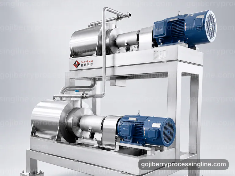 industrial goji berry processing line, proposal requirements: fine screen goji pulper connection view