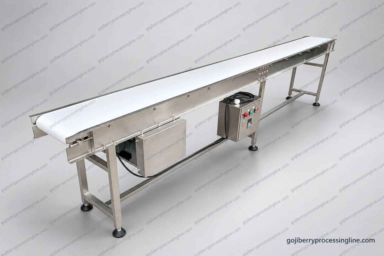 Goji Berry Inspection Conveyor